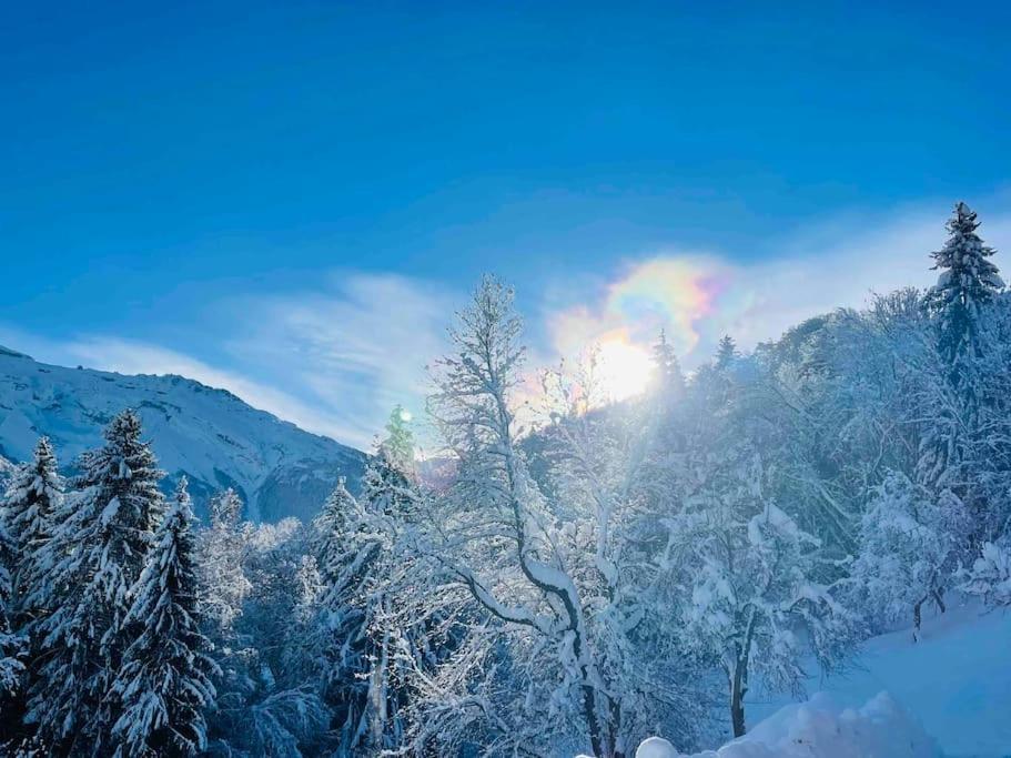 Le Chalet De Bemont Villa Samoëns Dış mekan fotoğraf