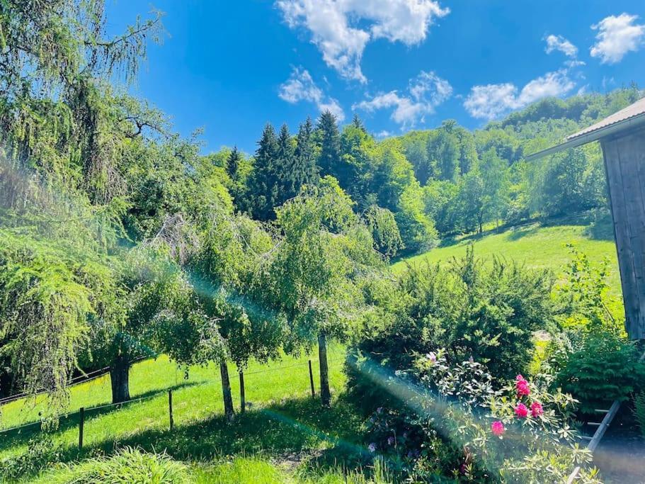 Le Chalet De Bemont Villa Samoëns Dış mekan fotoğraf