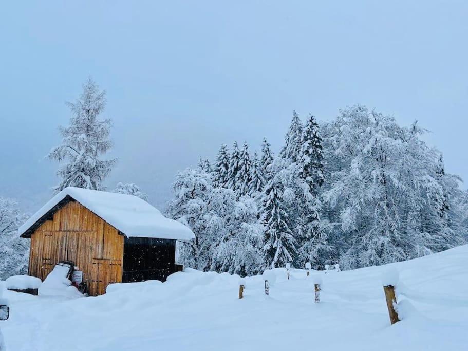 Le Chalet De Bemont Villa Samoëns Dış mekan fotoğraf