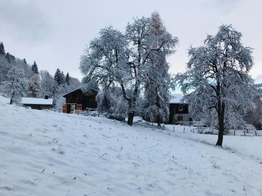 Le Chalet De Bemont Villa Samoëns Dış mekan fotoğraf