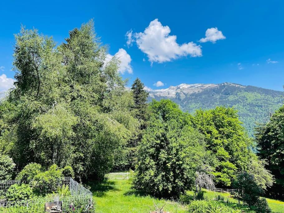 Le Chalet De Bemont Villa Samoëns Dış mekan fotoğraf